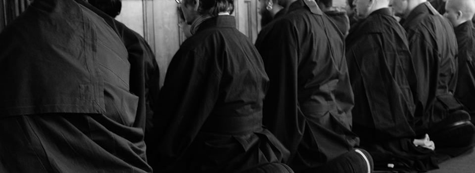 Group of practitioners, sitting in the zazen posture